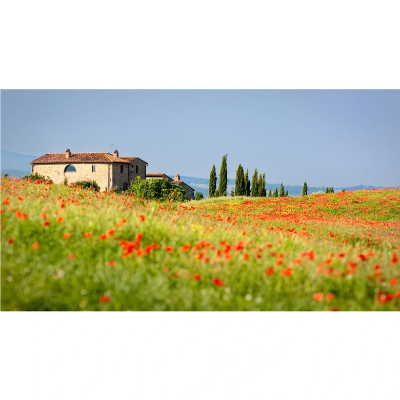 Fototapete Toskana 