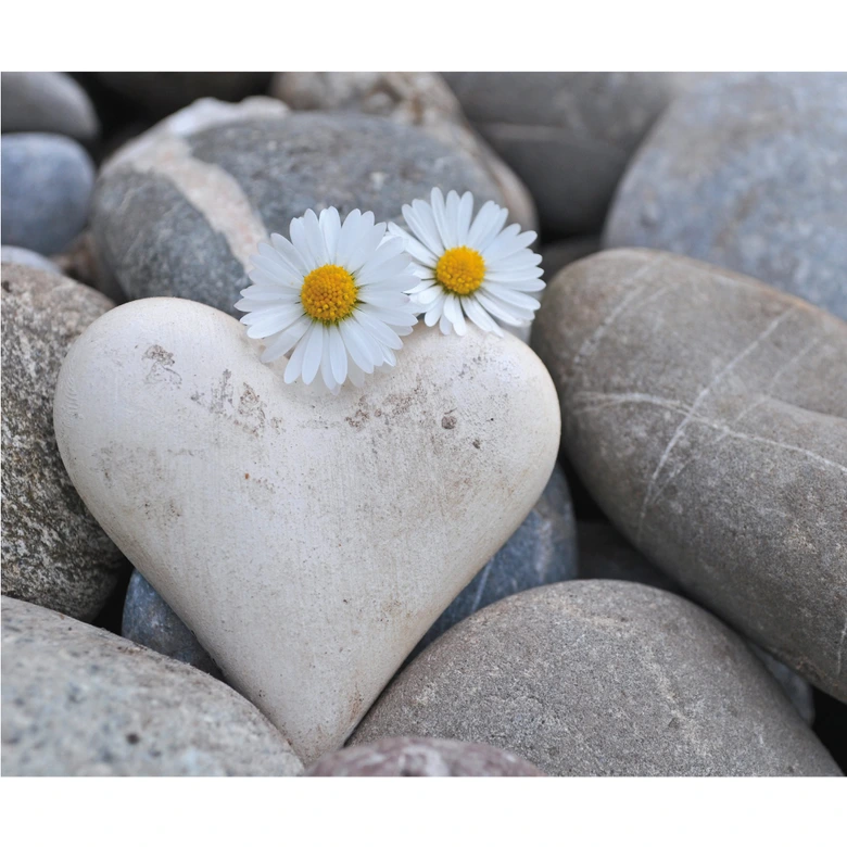 Fototapete Liebesblumen 