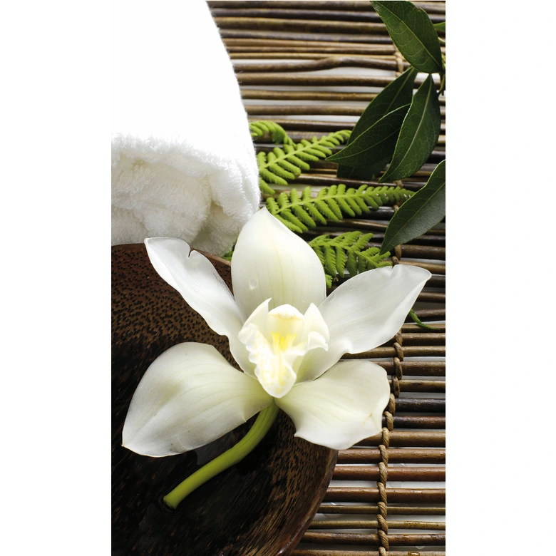 Fotobehang Wellness Orchidee 