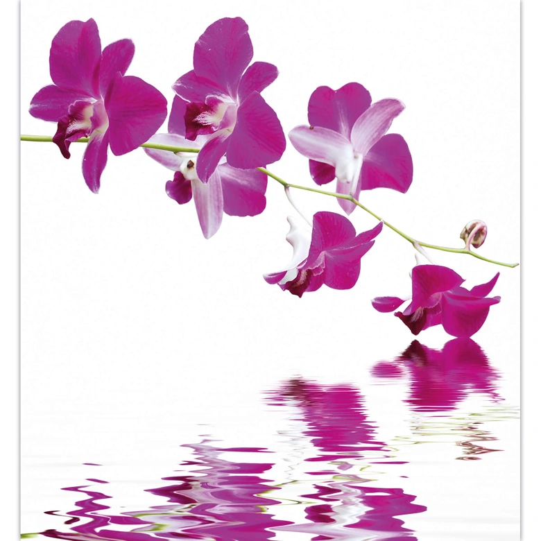 Branch with Flowers - Wall Mural 
