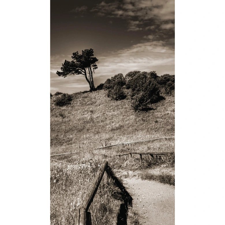 Fototapete Landschaft auf Hiddensee - 144x260 cm 