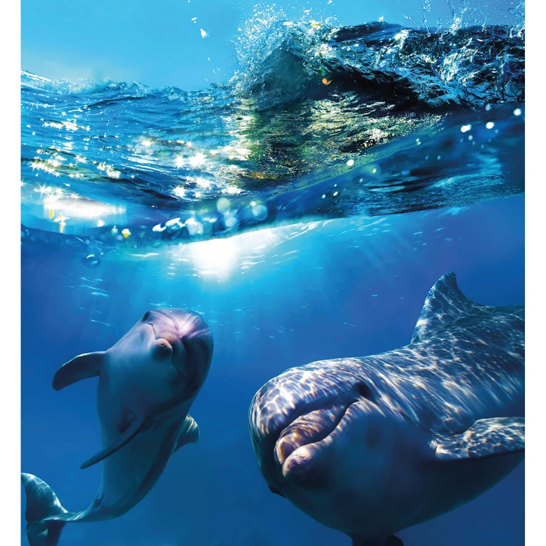 Fototapete Dolphins Underwater - 240x260 cm 