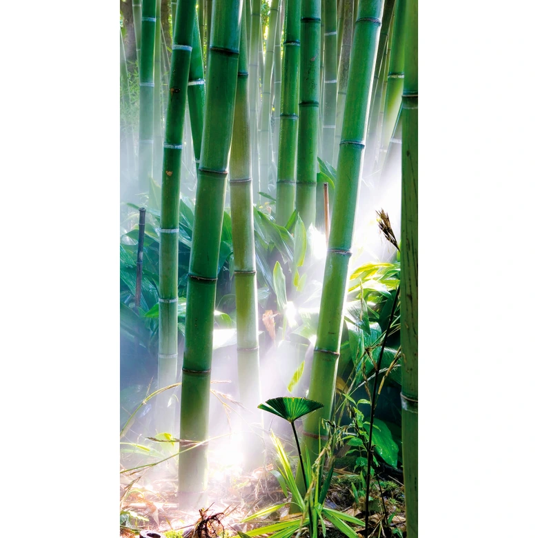 Bamboo Forest - Wall Mural 