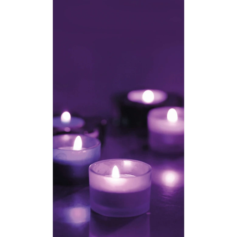 Candle Berry - Wall Mural 