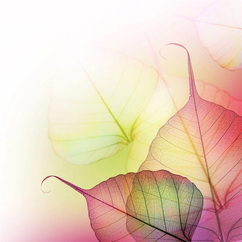 Fototapete Pink Design 