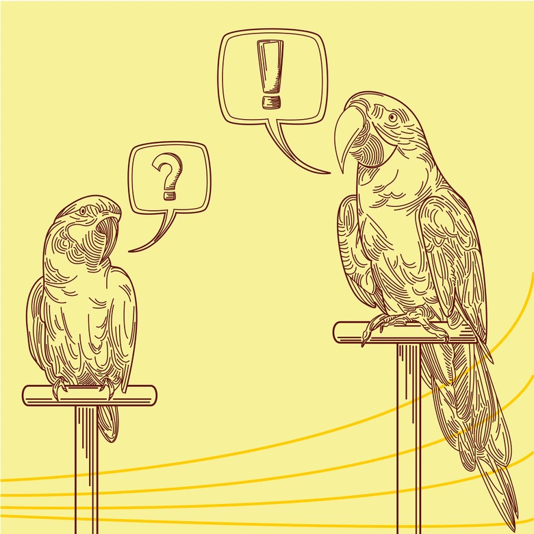 Fototapete Papageien Illustration 