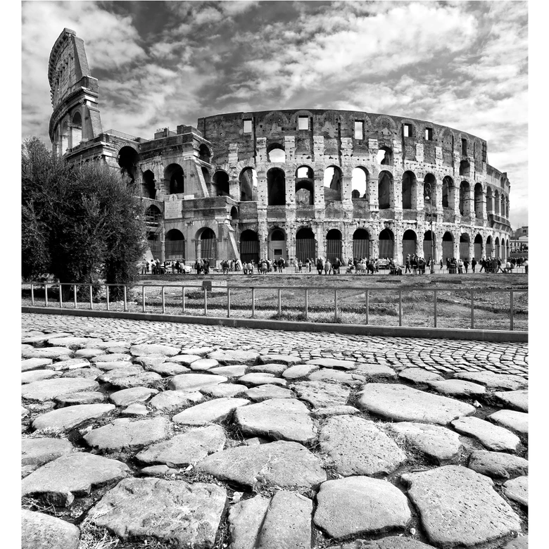 Colosseum - Wall Mural 