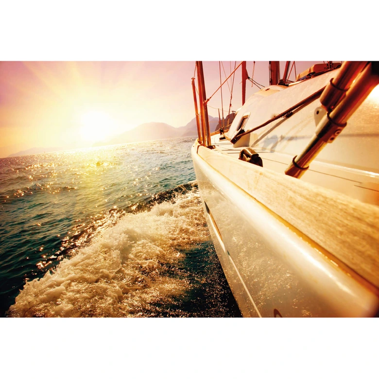 Cruise - Wall Mural 