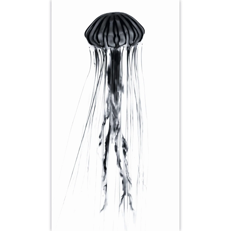 Fototapete Schwarze Qualle - 144x260 cm 