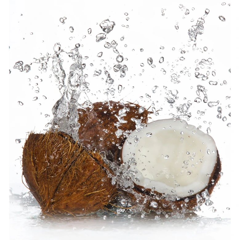 Fototapete Caribean Coconut - 240x260 cm 