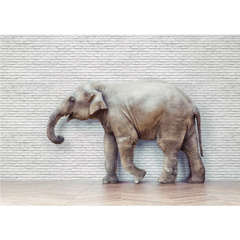 Fototapete The Walking Elephant 