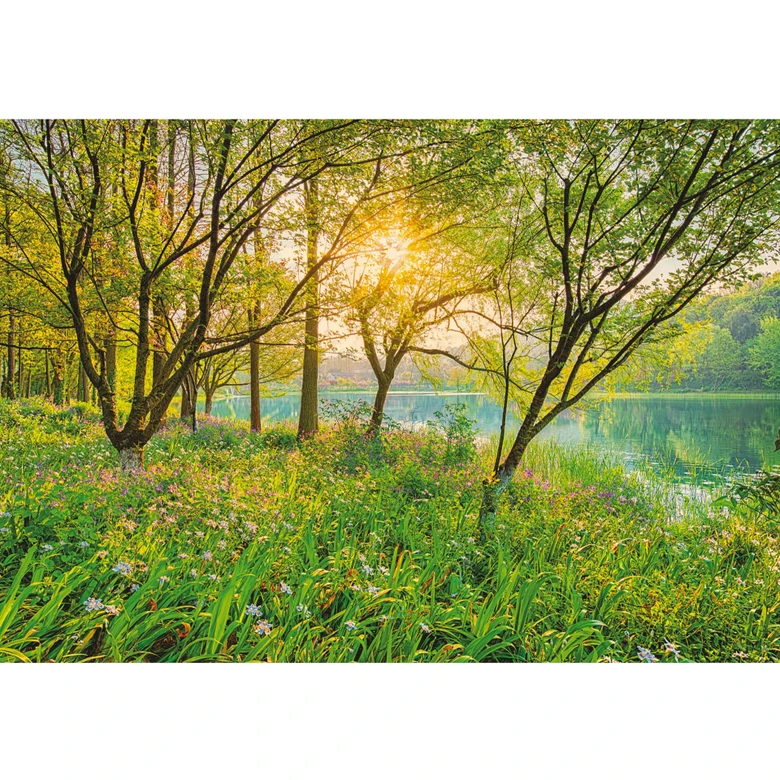 Fototapete Spring Lake 