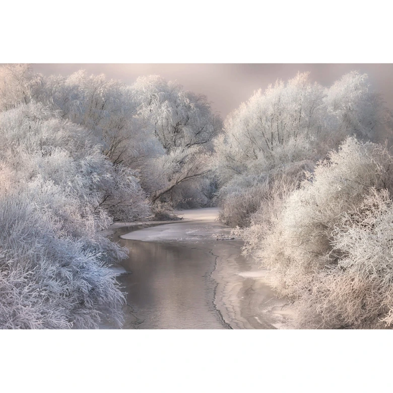 Fototapete Bela - Winterlandschaft 