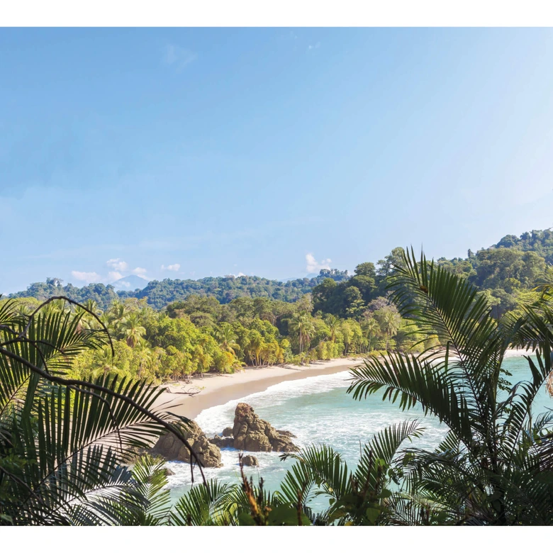 Fototapete Colombo - Dschungelblick in Costa Rica - 288x260 cm 