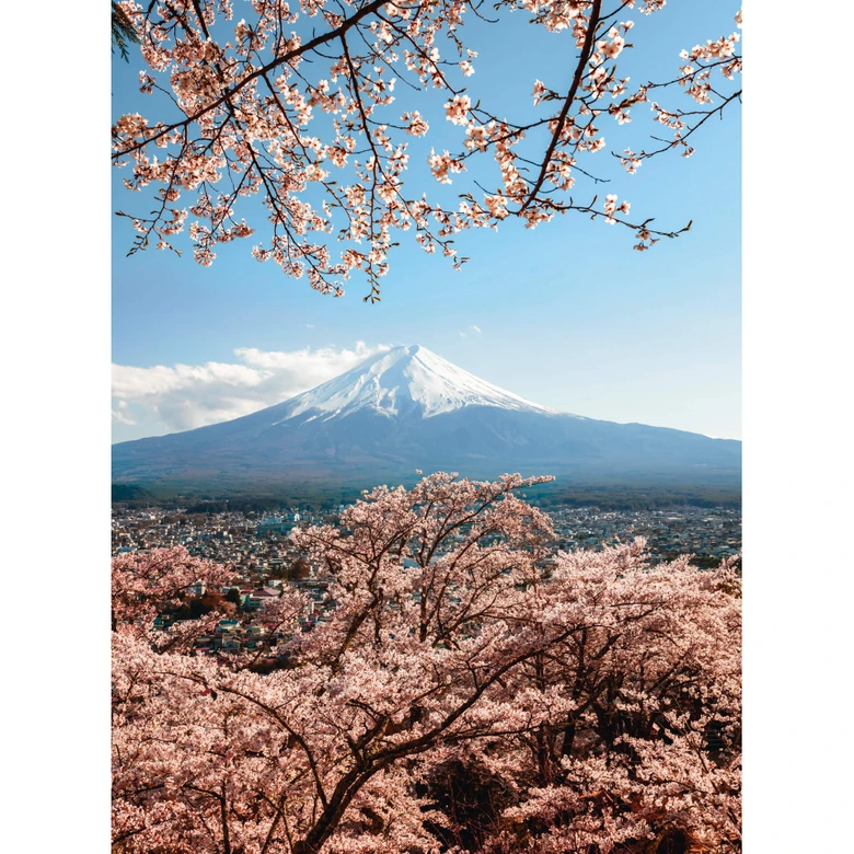 Fotobehang Colombo - Mount Fuji in Japan 