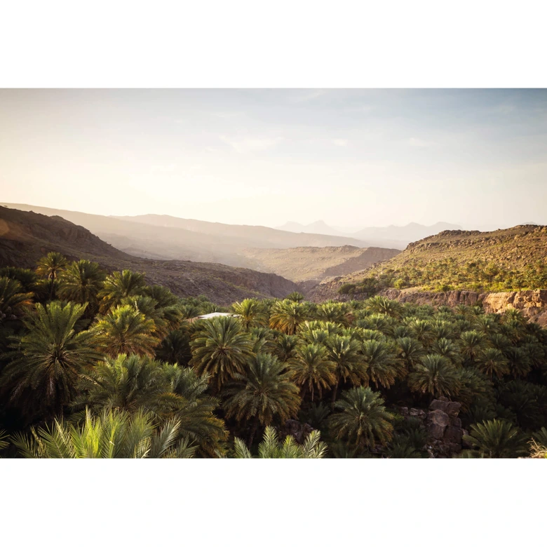 Fototapet Colombo - Oase i Oman - 384x260 cm 
