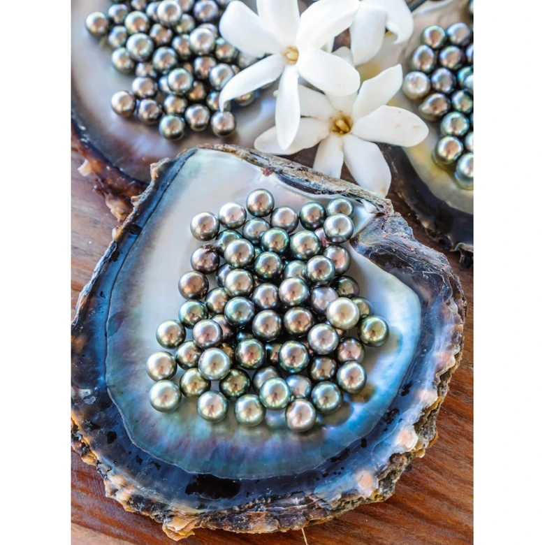 Fototapete Colombo - Schwarze Perlen von Tahiti 