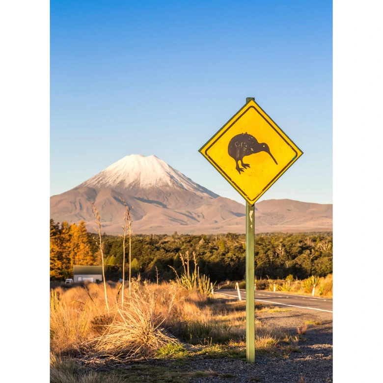 Wall Mural Colombo - Kiwi 