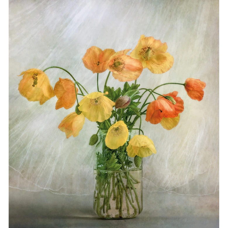 Fototapete Disher - Mohnblumen im Glas - 240x260 cm 