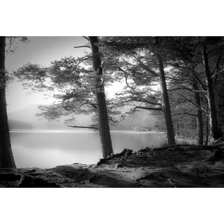 Fotobehang Fugh - At the Lake (384 x 260 cm) 