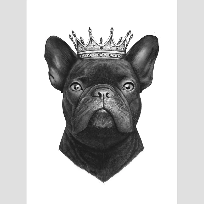 Korenkova - Fotomural Rey Bulldog Francés 
