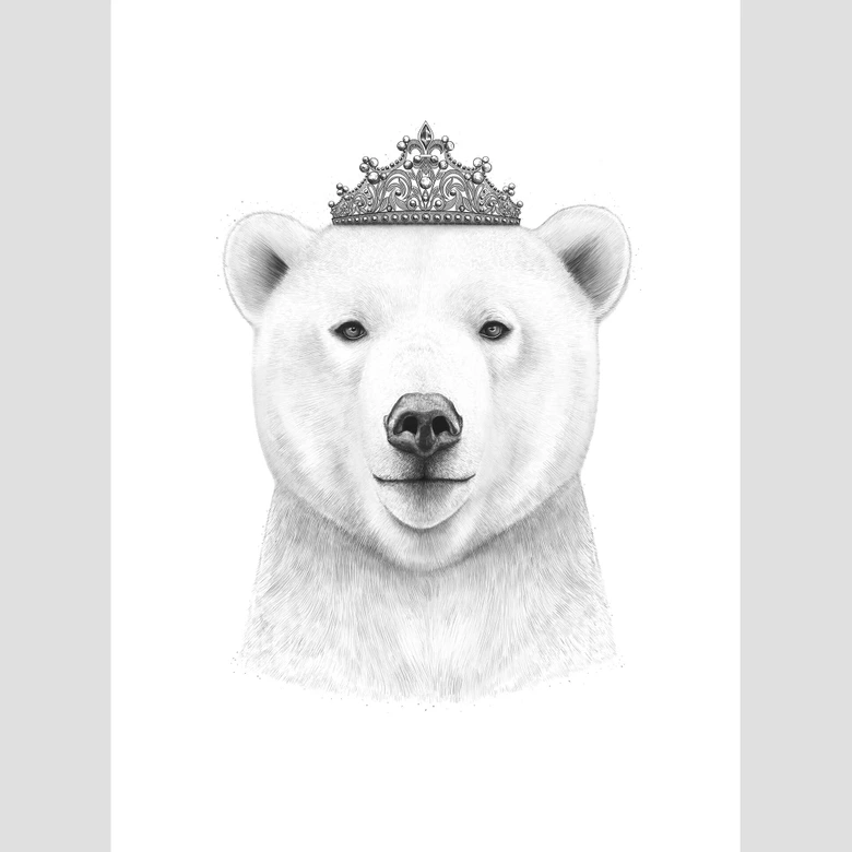 Fototapete Korenkova - Queen Bear 