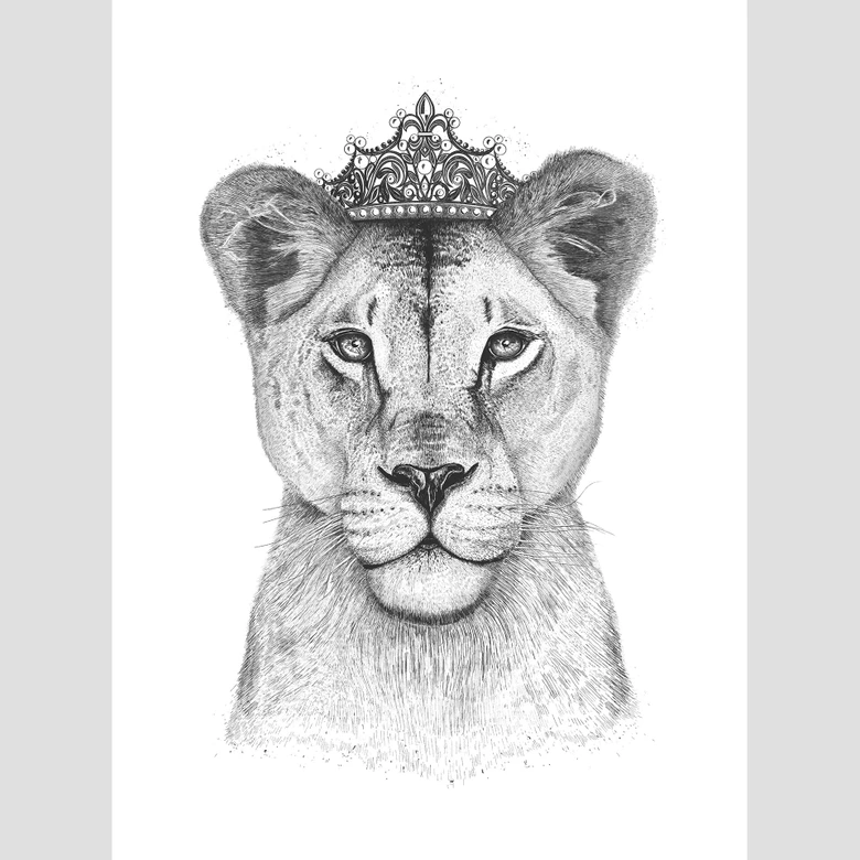 Korenkova - Fototapeta Królowa lwów 
