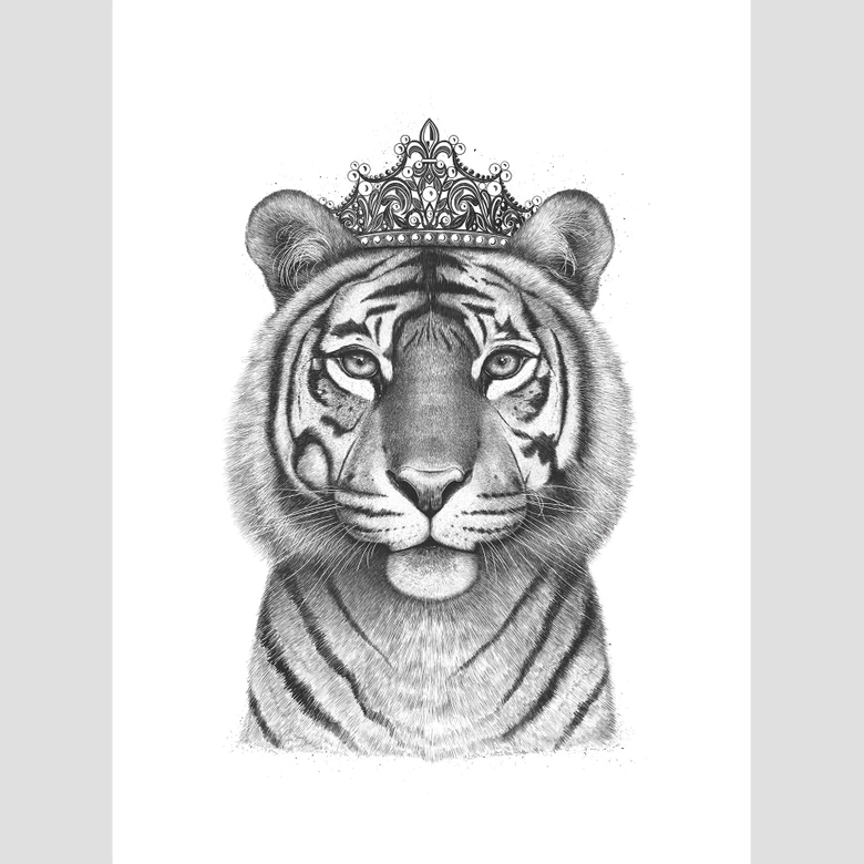 Fototapete Korenkova - The Tigress Queen 