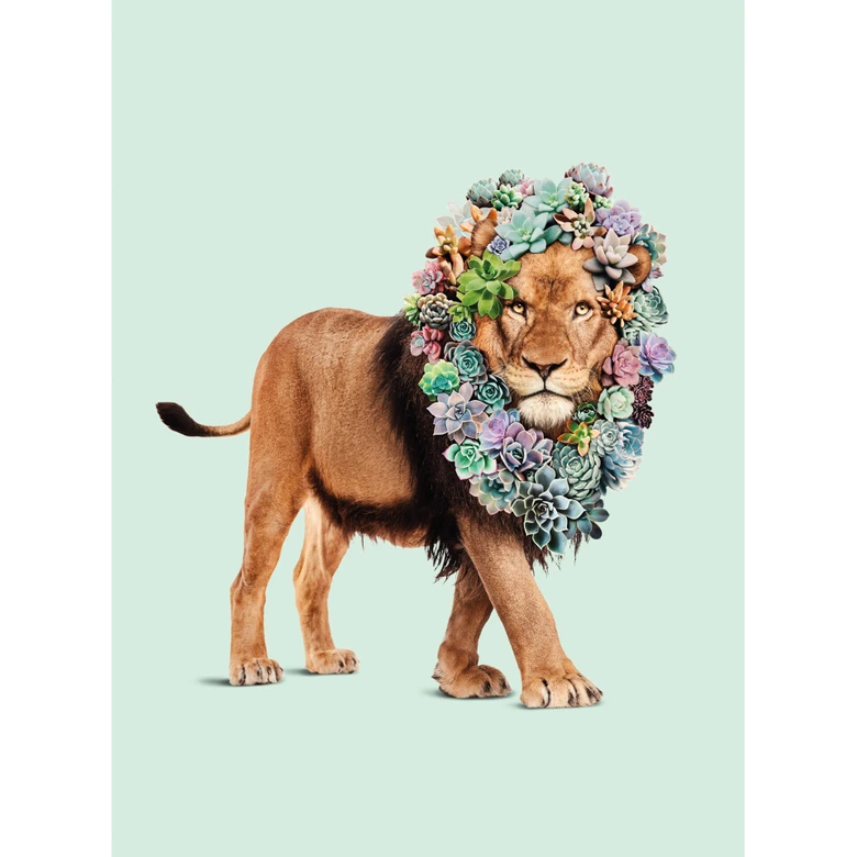 Fototapete Loose - Succulent Lion 