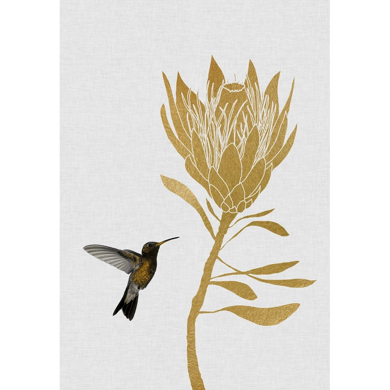 Fototapete Orara Studio - Hummingbird and Flower - goldene Blume 