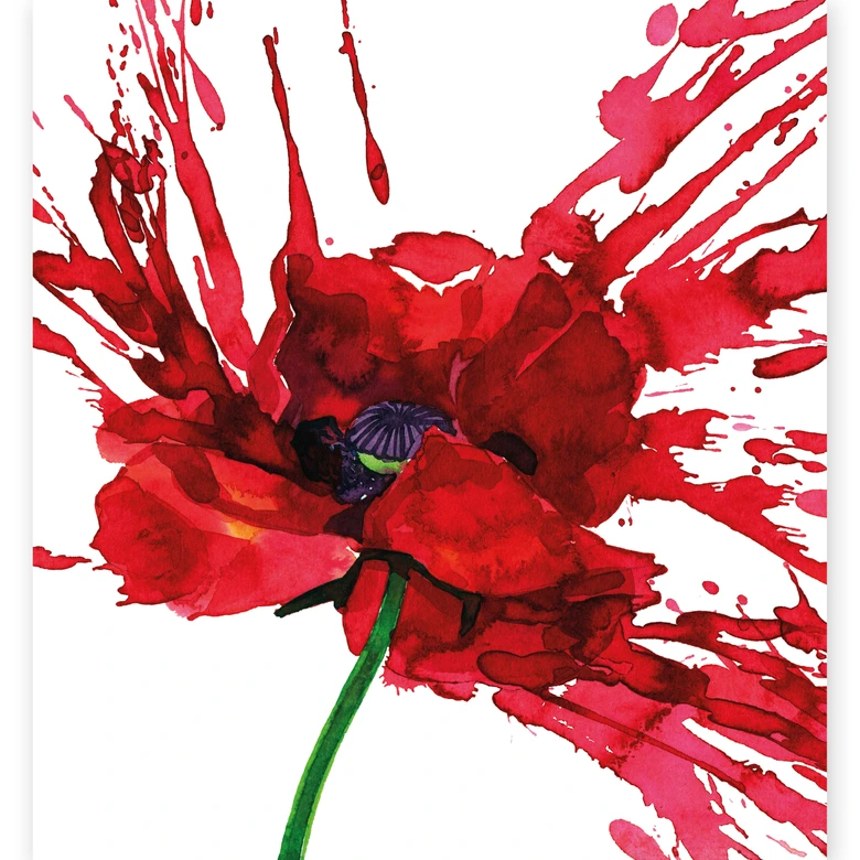 Fototapete Rote Mohnblume 