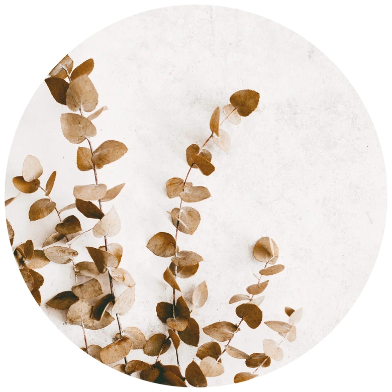 Round wall mural Annie - Dried Leaves - non self-adhesive/self-adhesive wallpapers 