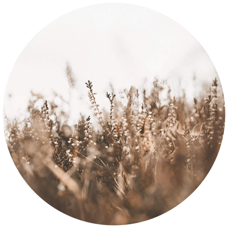 Annie - Pastos de los prados - fotomural redondo - Papel pintado autoadhesivo/no tejido 