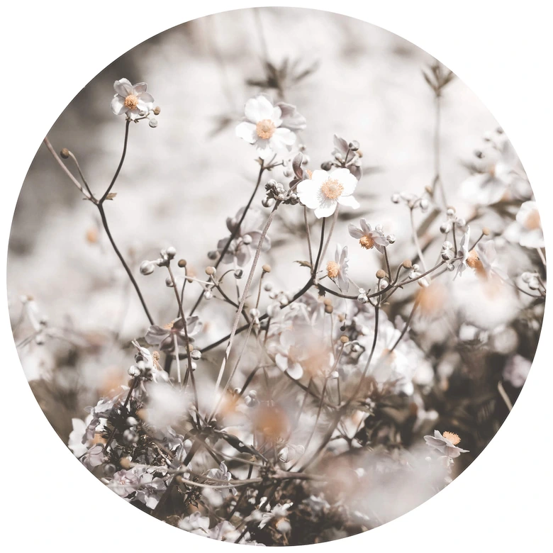 Annie - Vildblommor - Rund Fototapet - non-woven tapet/självhäftande non-woven tapet 