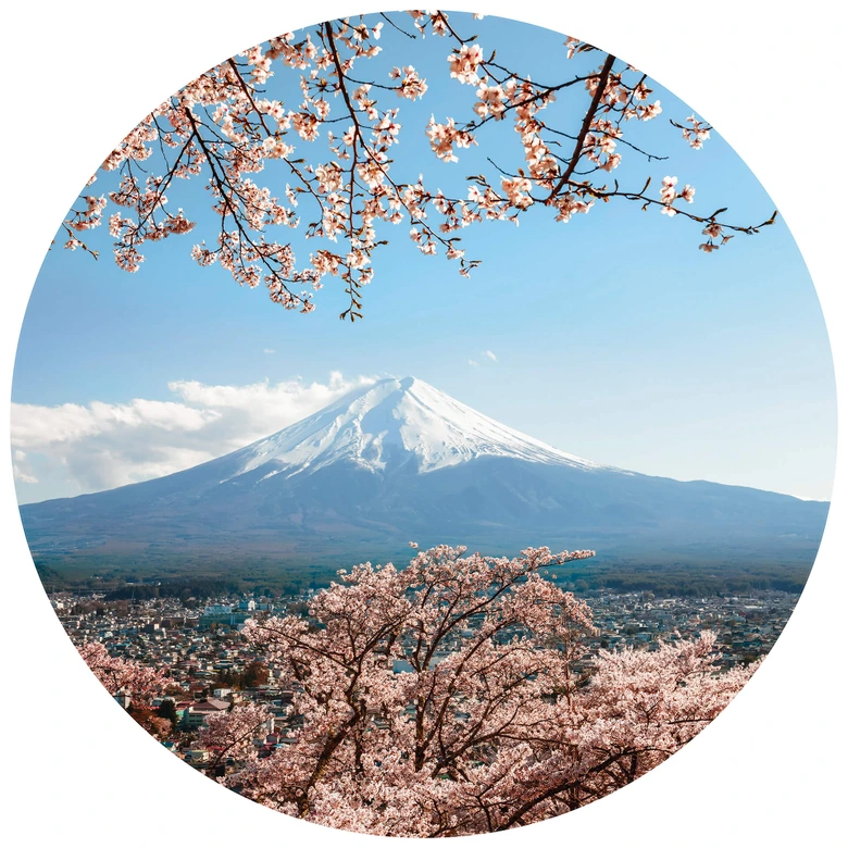 Round wall mural Colombo - Mount Fuji in Japan - non self-adhesive/self-adhesive wallpapers 