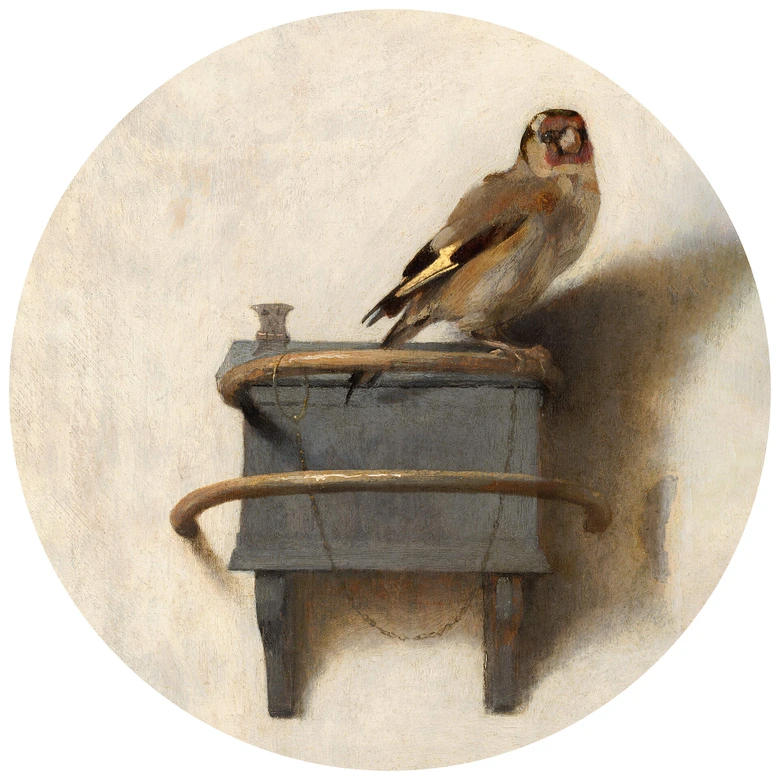 Papier peint photo rond Fabritius - Le chardonneret - papier peint intissé/papier peint intissé autocollant 