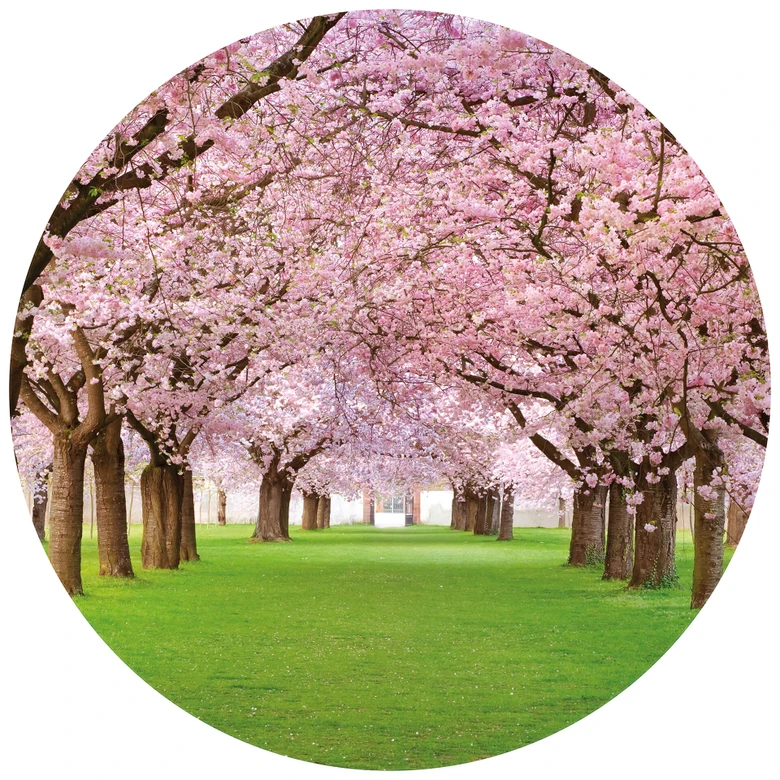 Round wall mural Spring Time - non self-adhesive/self-adhesive wallpapers 
