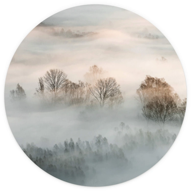 Round wall mural Galimberti - Cold Winter Day - non self-adhesive/self-adhesive wallpapers 
