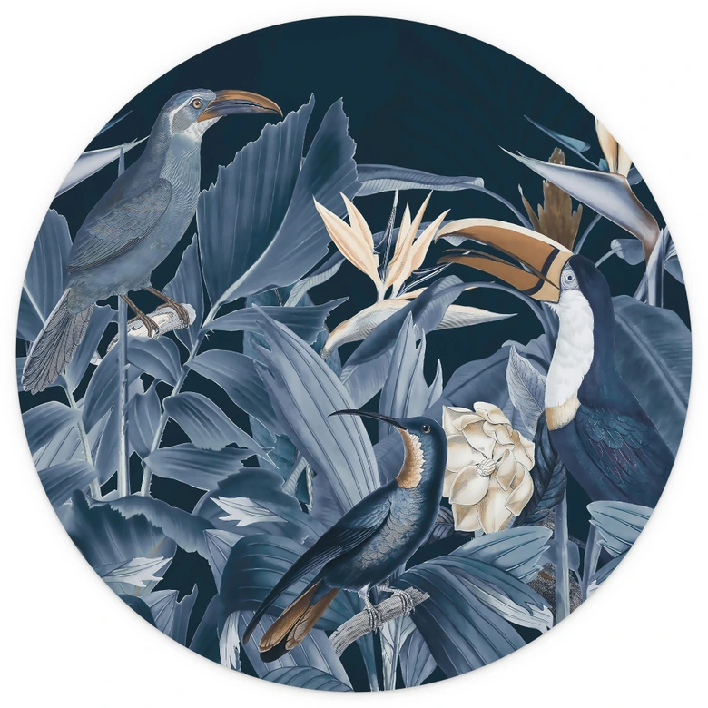 Fotomural aves tropicales en un bosque nocturno - Haase - Redondo - Papel pintado autoadhesivo/no tejido 
