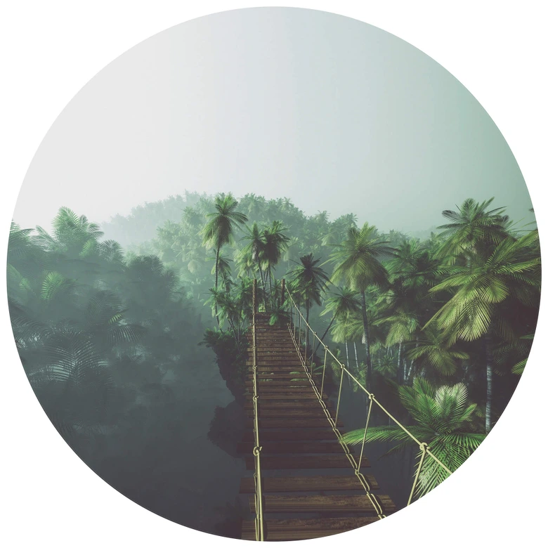 Behangcirkel Hangbrug in de Jungle - vliesbehang/zelfklevend vliesbehang 