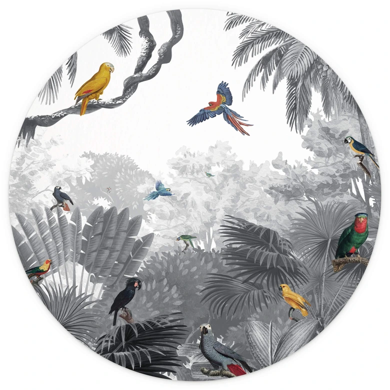 Papier peint photo rond Kikki Belle - Tropical Birds - papier peint intissé/papier peint intissé autocollant 