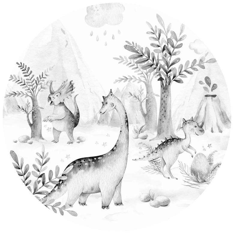 Papier peint photo Kvilis - Le monde des dinosaures en noir & blanc - papier peint intissé/papier peint intissé autocollant 