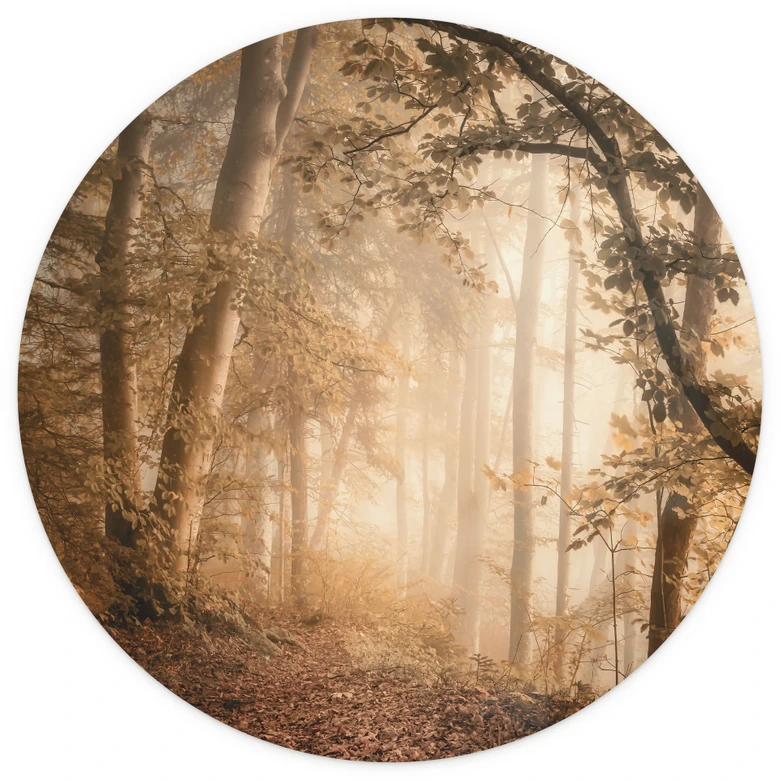 Skog i morgondimman - Skog Fototapet väggmålning rund - Maier - non-woven tapet/självhäftande non-woven tapet 