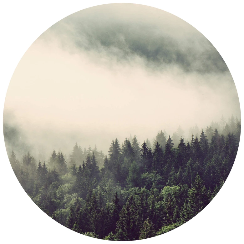 Fototapete Nebel im Wald 02 - Rund - Selbstklebend/Vlies 