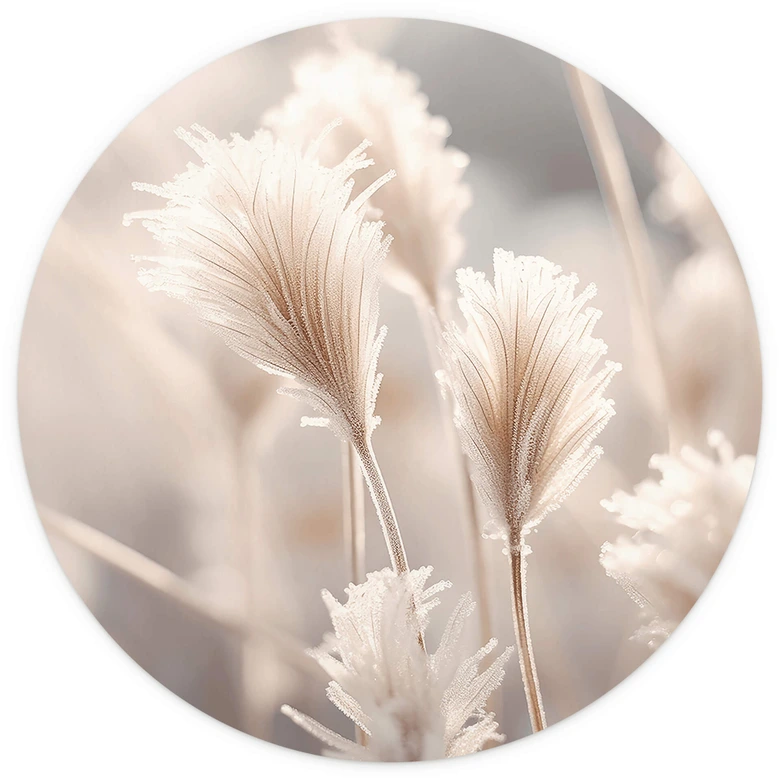 Round wall mural Pastel coloured grasses - Treechild - non self-adhesive/self-adhesive wallpapers 