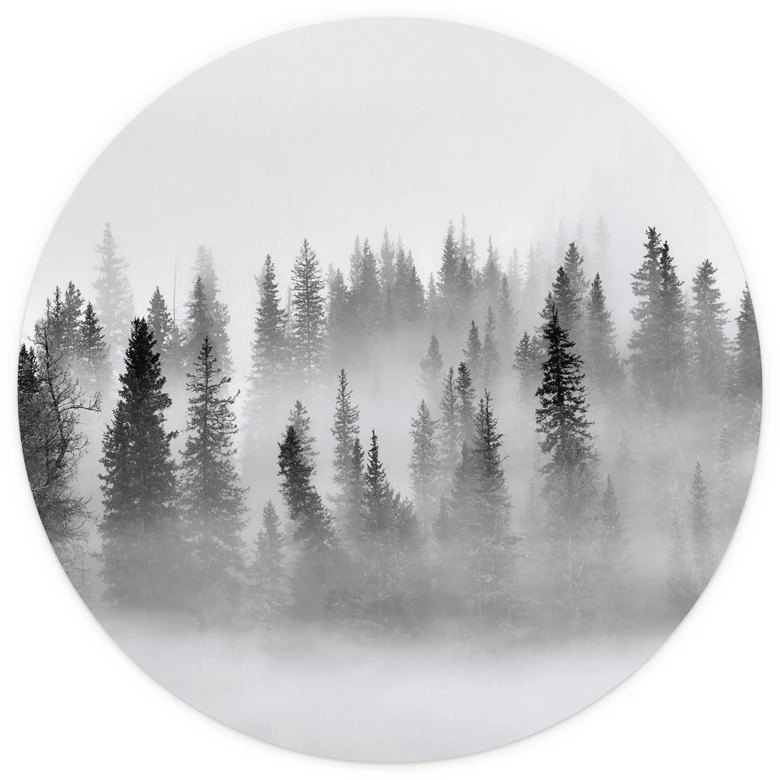 Fototapete Nebelwald in Schwarz-Weiß - Waldtapete Rund - Xu - Selbstklebend/Vlies 