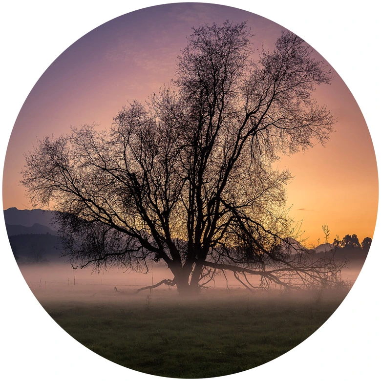 Round wall mural Cuadrado - the Fog - non self-adhesive/self-adhesive wallpapers 