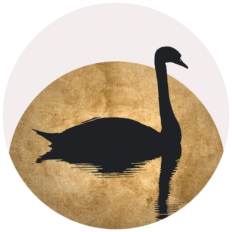 Fototapet - Rundt Kubistika - Svanesøen under fuldmåne - vliesetapet/selvklæbende non-woven tapet 