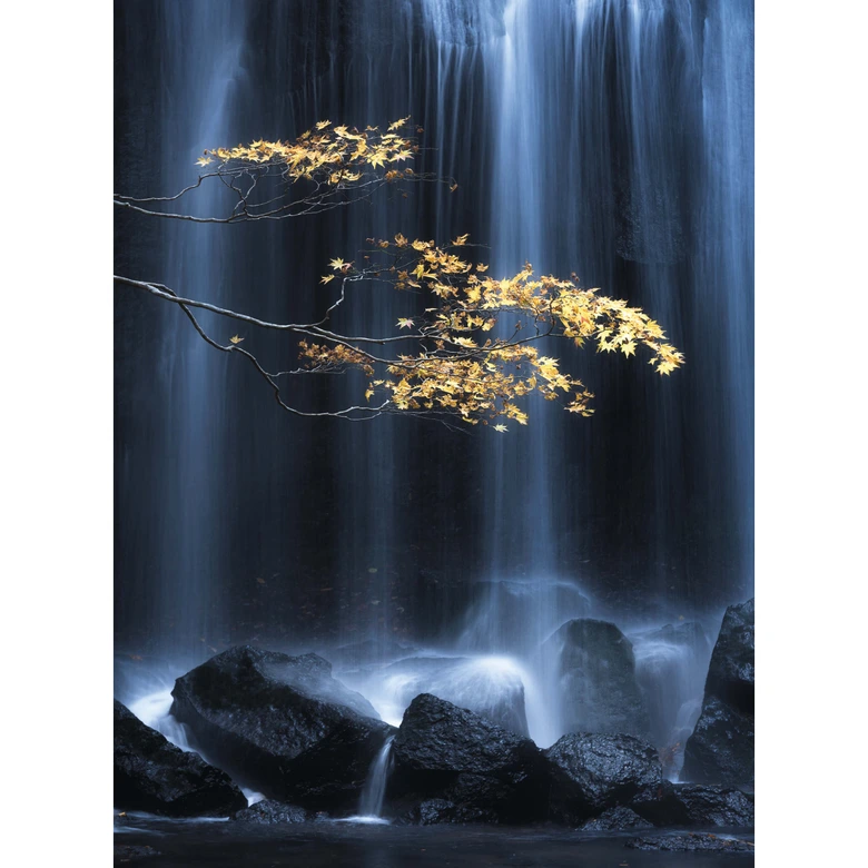 Fototapete - Yatsushima - Gelber Herbst - 192x260 cm 