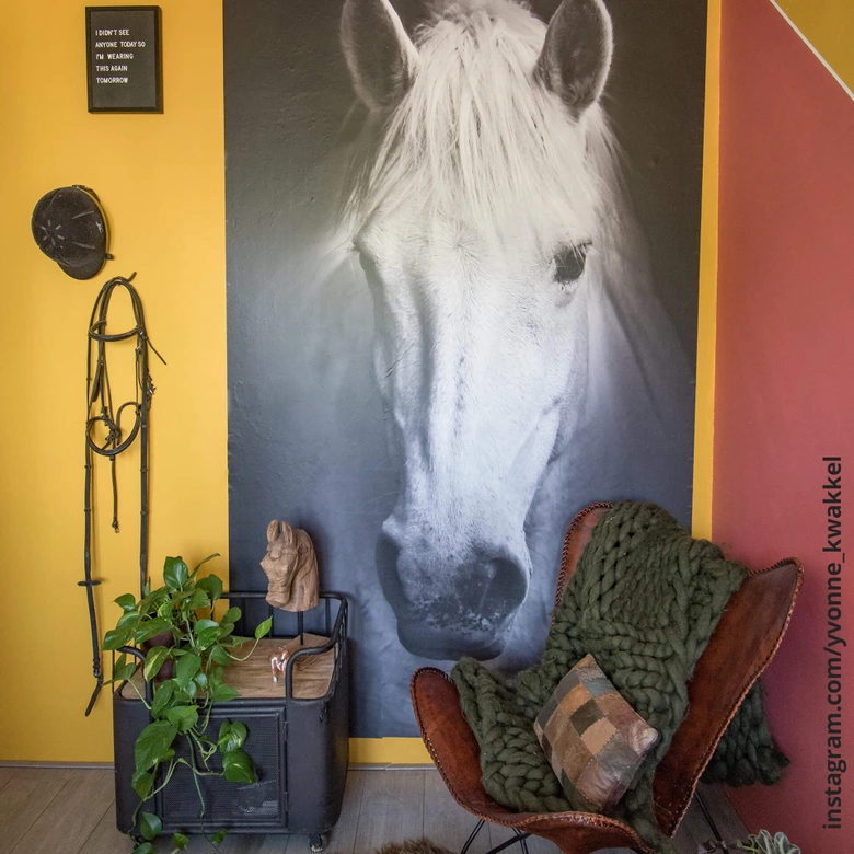 Fototapete White Horse - 144x260 cm 